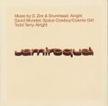 Vinyl cover