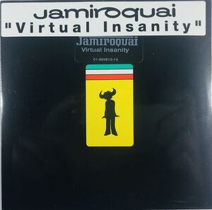 VIMaxi2.jpg